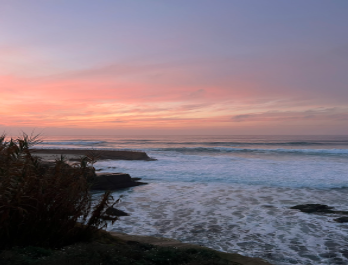 Photo taken in La Jolla, California by Kalise Miller on her family vacation.