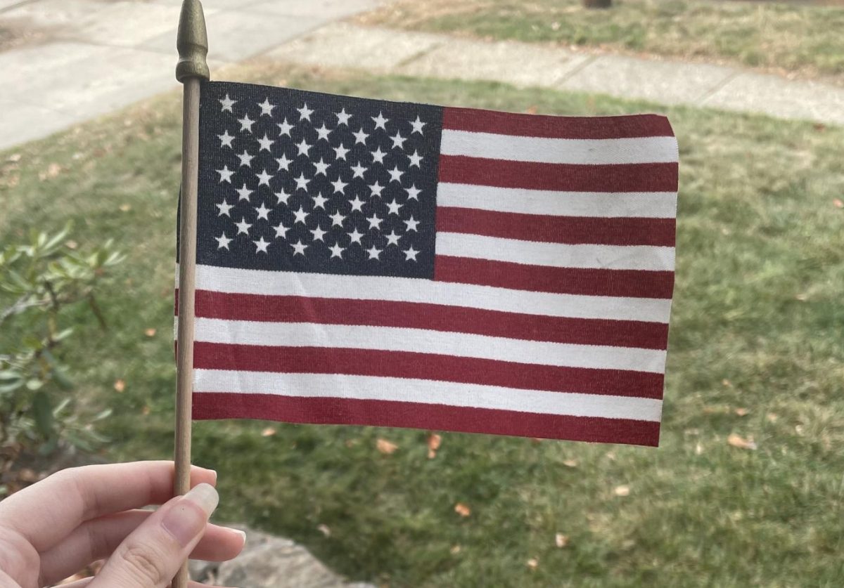 What better way than to represent the outcome of this recent election than with the American flag itself?