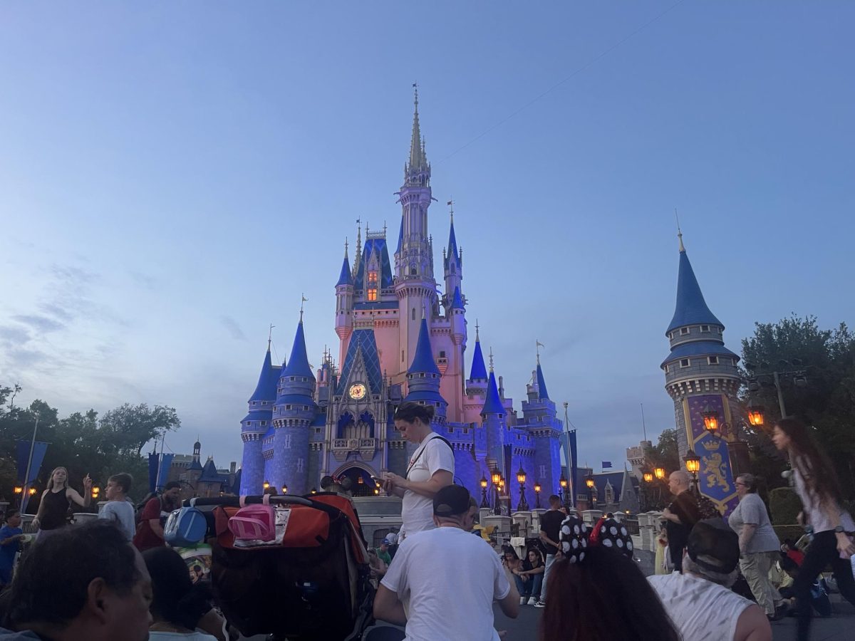 The castle lit up for the night!