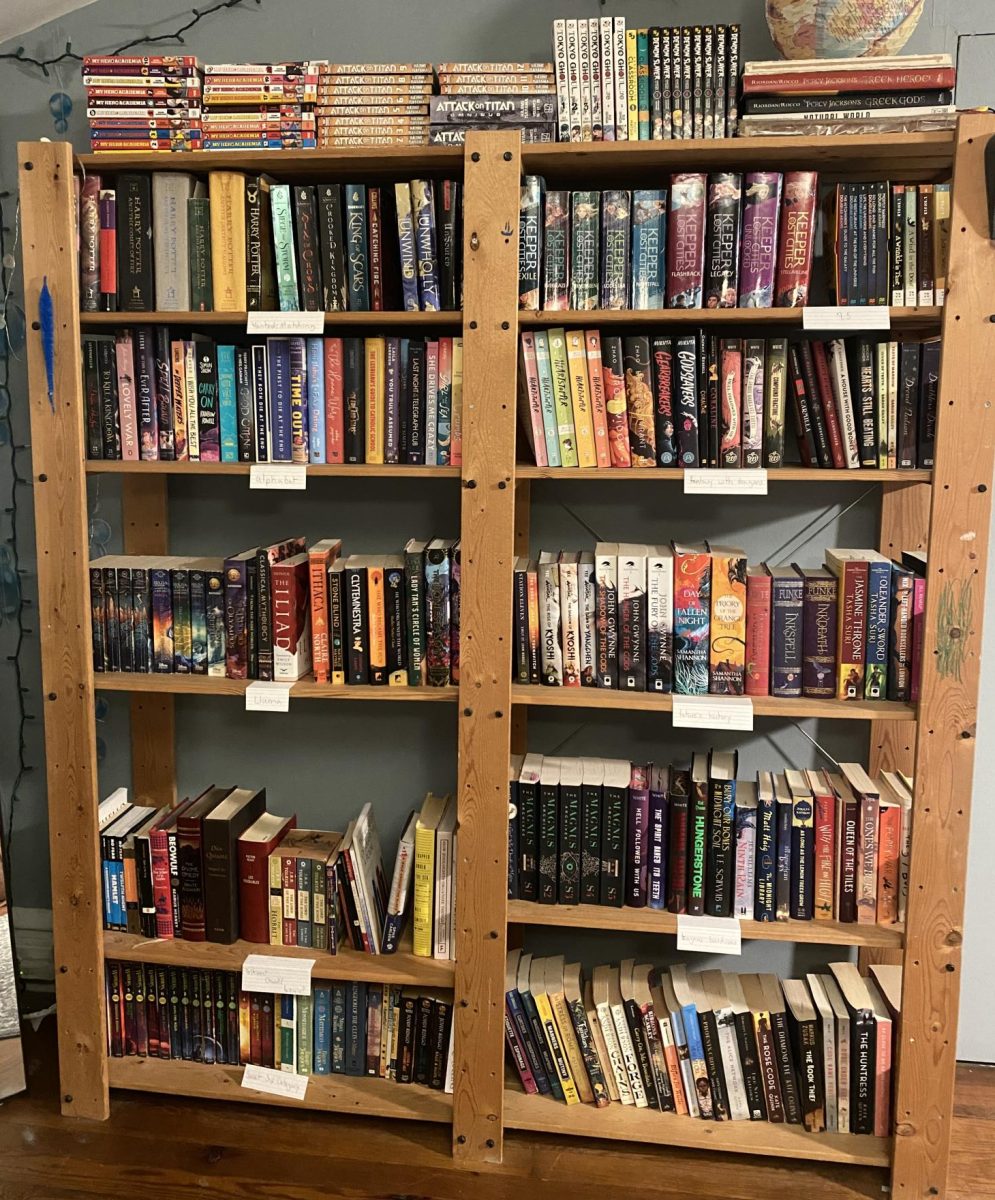 My bookcase at home